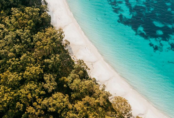 新南威尔士州,杰维斯湾,墨累海滩