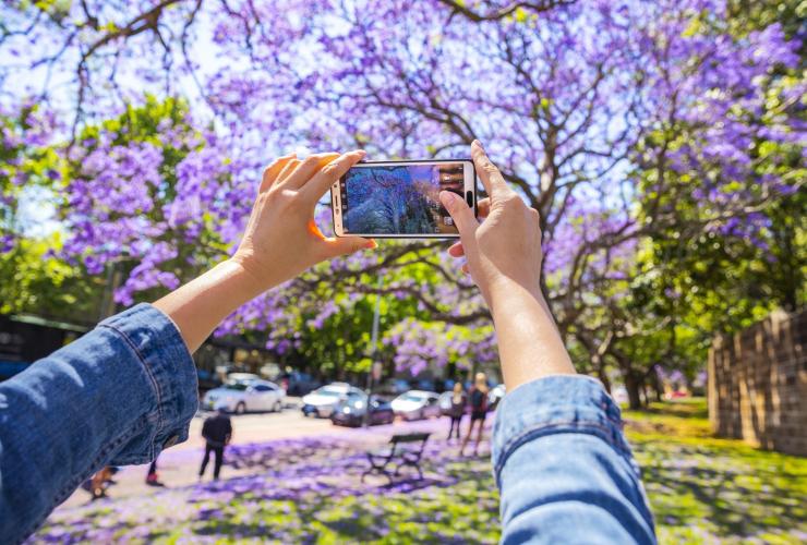 新南威尔士州,悉尼,帕丁顿