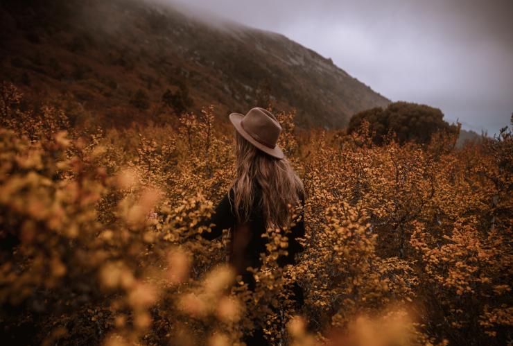 塔斯马尼亚州,摇篮山-圣克莱尔湖国家公园